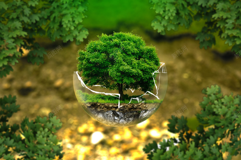 玻璃球树木jpg设计背景_新图网 https://ixintu.com 环保 玻璃球 树木 绿色 开心 摄影 风景