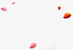 彩色美丽飘散花瓣素材