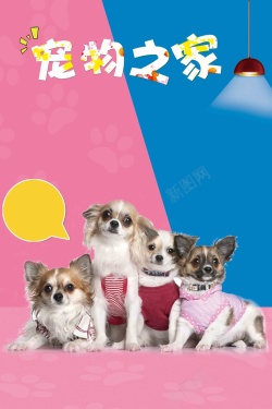 宠物交易宠物之家宠物店猫狗卡通海报高清图片