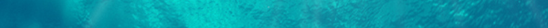 清凉海底化妆品海报psd设计背景_新图网 https://ixintu.com 化妆品 水滴 海底 海报 清凉 气泡 水泡 水 渐变 水蓝色