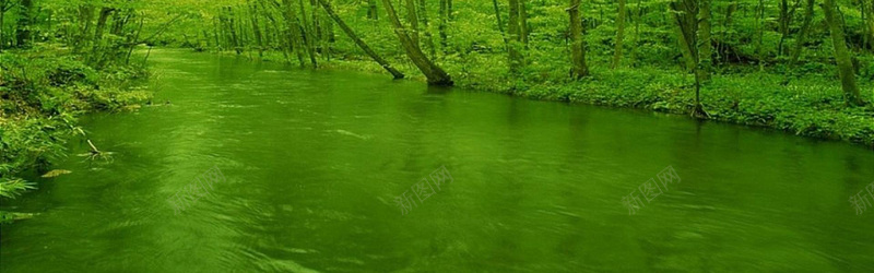 绿色河流背景jpg设计背景_新图网 https://ixintu.com 绿色 河流 河水 树木 绿树 风景 海报banner 摄影