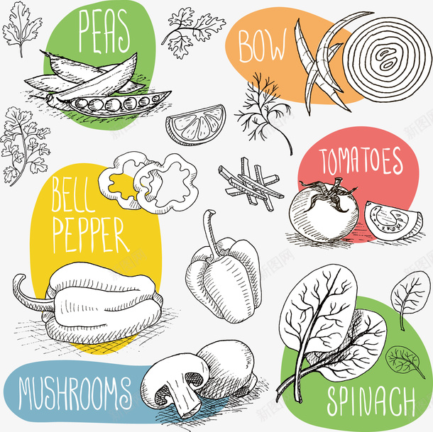 食物矢量图ai免抠素材_新图网 https://ixintu.com 卡通手绘 卡通水彩画 英语字母 装饰图案 青椒 食物 矢量图