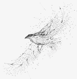 动态粒子创意粒子飞鸟矢量图高清图片