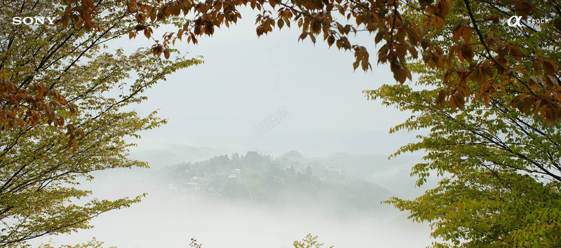 秋季淡色文艺远山树叶背景背景