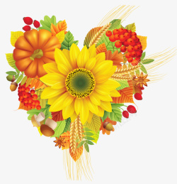 秋天色彩漂亮的爱心造型食物水果花朵装饰高清图片