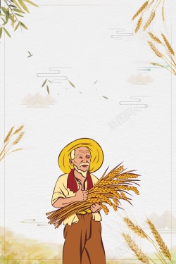 夏至稻谷中国风二十四节气芒种节日海报高清图片