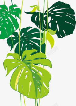 手绘绿色吊挂植物图案矢量图素材