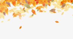 金秋树叶秋天黄色的树叶高清图片