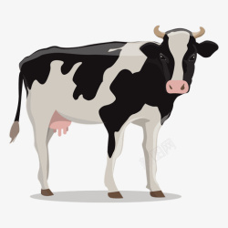 可爱奶牛素材可爱的先奶牛28高清图片