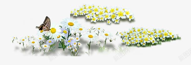 花psd免抠素材_新图网 https://ixintu.com 花小花一束花