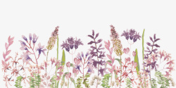 紫色小花花丛温馨素材