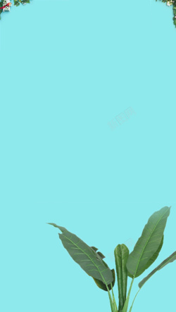 ppt养生清新简约蓝色背景下的绿叶H5背景高清图片