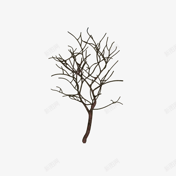 干枯的树枝图标png_新图网 https://ixintu.com 光秃秃 干枯的树枝 手绘枯树枝 简笔手绘