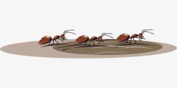 勤劳蚂蚁蚂蚁搬家高清图片