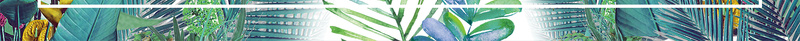 文艺清新手绘植物海报背景psd设计背景_新图网 https://ixintu.com PSD背景素材 小清新 手绘 文艺 植物 海报 清新 背景素材 蓝色