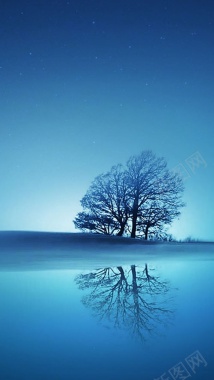 风景蓝色天空海面大树H5背景素材背景