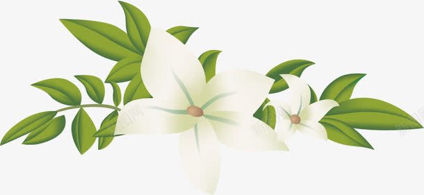 白色花朵png免抠素材_新图网 https://ixintu.com 植物 白茶花 绿叶 花瓣 茶花