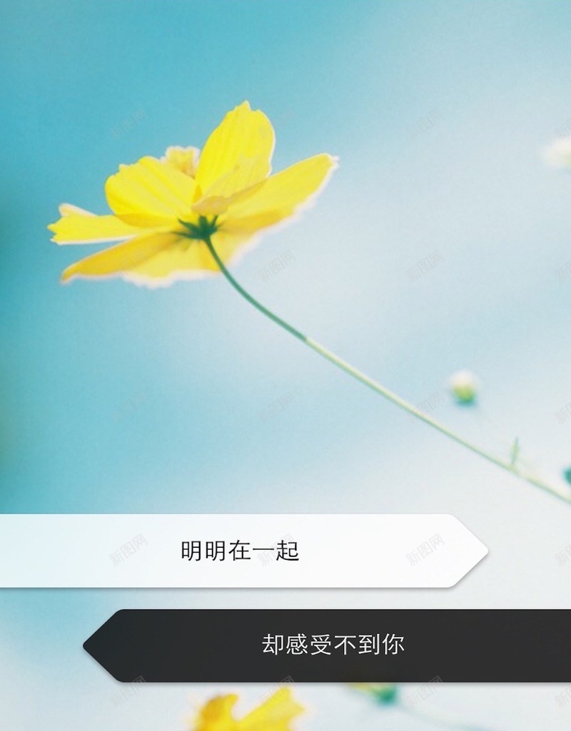 小清新鲜花H5背景jpg设计背景_新图网 https://ixintu.com H5 H5背景 h5 小清新 情书 文字控 文艺 有爱 爱情箴言 简约 花 锁屏