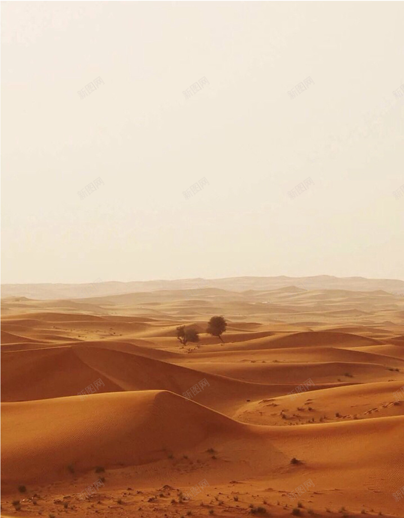 沙漠中的树H5素材背景jpg设计背景_新图网 https://ixintu.com 孤独 沙漠 荒凉 黄色 树 H5素材 沙子