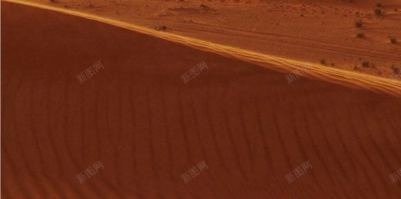 沙漠中的树H5素材背景jpg设计背景_新图网 https://ixintu.com 孤独 沙漠 荒凉 黄色 树 H5素材 沙子