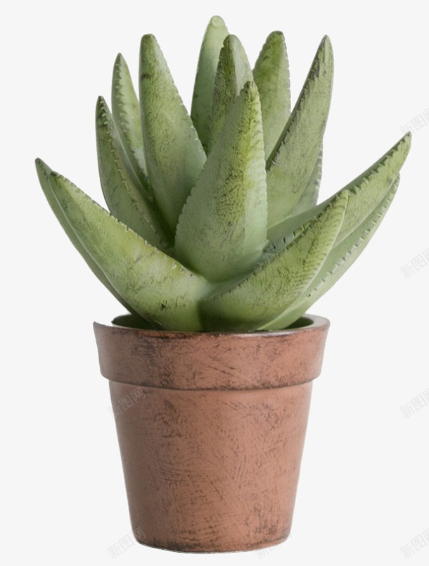 png免抠素材_新图网 https://ixintu.com 塑料 植物 模型 玩具