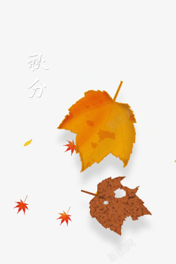 秋分秋天落叶枯叶二十四节气素材
