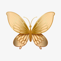 动态线条素材金色蝴蝶元素高清图片