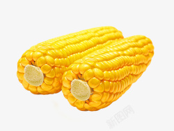 五谷杂粮营养玉米素材