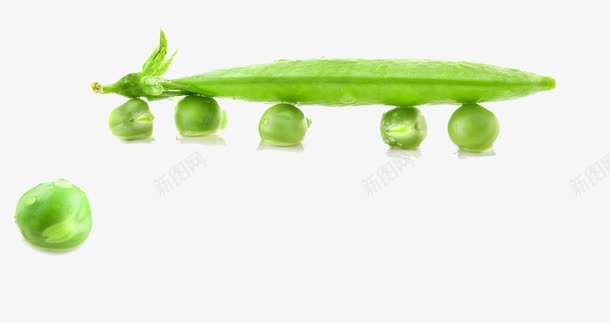 绿色有机豌豆png免抠素材_新图网 https://ixintu.com 农作物 蔬菜 豌豆 青菜 食材