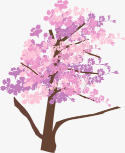 武汉樱花植物樱花树高清图片