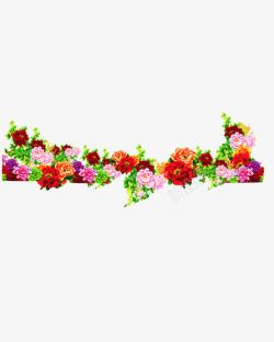 抽象花丛鲜花高清图片