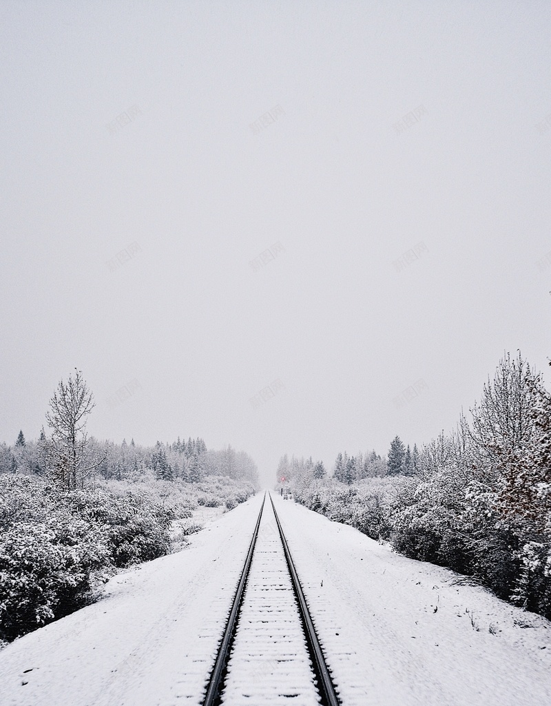 雪夜道路背景素材jpg设计背景_新图网 https://ixintu.com 寒冬 文艺 简约 道路 雪夜 PPT 冬季旅游 小清新