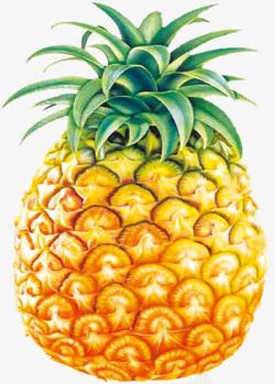 菠萝水果海报素材