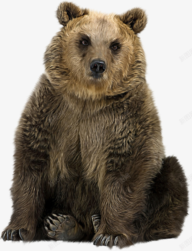 手绘棕熊png免抠素材_新图网 https://ixintu.com 动物 棕熊 棕色 熊