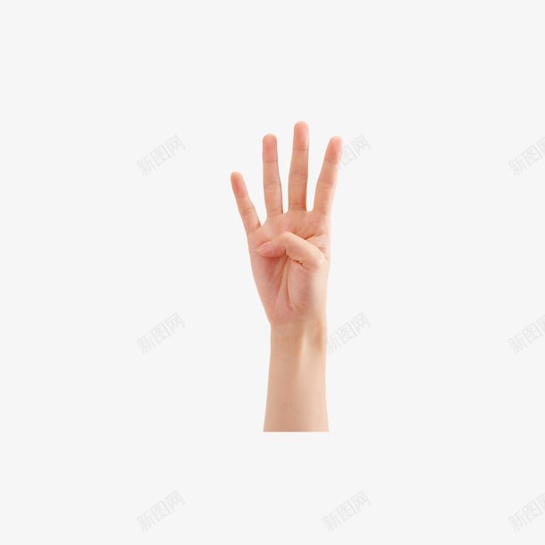 四指手掌png免抠素材_新图网 https://ixintu.com 四指 手掌 手掌图片 手掌背景图片