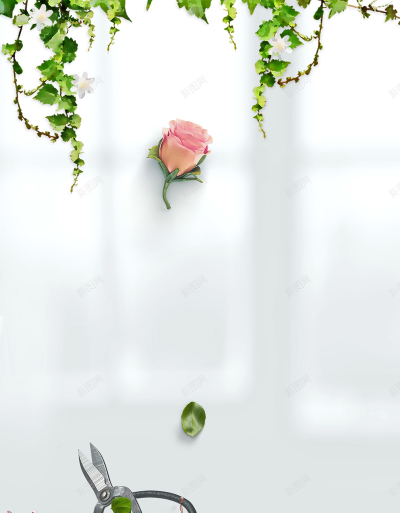 清新文艺室内背景psd设计背景_新图网 https://ixintu.com H5 分层 室内 文艺 清新 白色 素材 背景