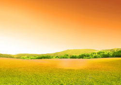 金黄色的草地秋季风景背景图高清图片