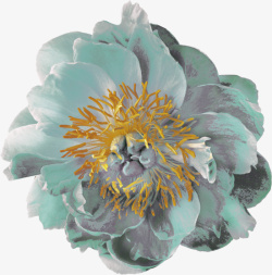 塑料蓝灰色花朵花卉花蕾素材