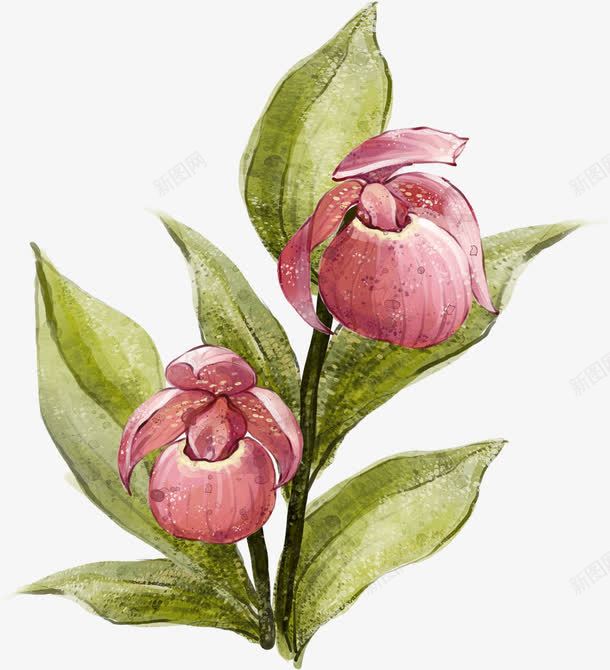 手绘粉色花卉印象风格png免抠素材_新图网 https://ixintu.com 印象 粉色 花卉 风格