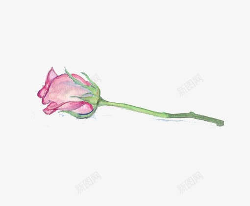 一朵玫瑰png免抠素材_新图网 https://ixintu.com 一朵玫瑰 粉色 鲜花