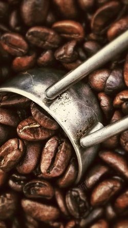咖啡豆装饰画5咖啡豆质感文艺摄影H5背景高清图片