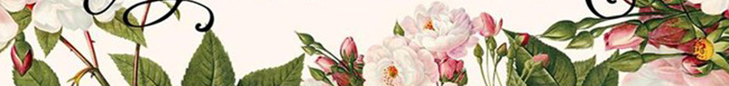 小清新花朵新品上市海报背景psd_新图网 https://ixintu.com 叶子 小清新 文艺 新品上市 植物 简约 粉色 背景 花朵
