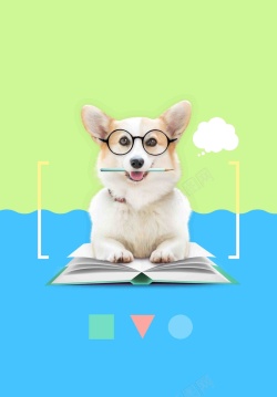 叼铅笔的狗狗戴着眼镜的可爱宠物狗海报高清图片