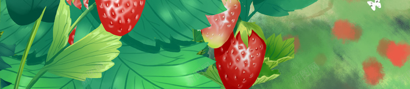 美味草莓采摘创意海报jpg设计背景_新图网 https://ixintu.com 草莓采摘园 新鲜草莓 草莓大棚 采摘草莓 草莓园 绿色草莓 草莓酱 草莓种植 果汁 绿色 叶子