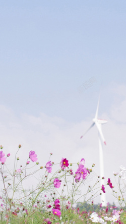 桌面小花清新花枝素雅H5背景高清图片