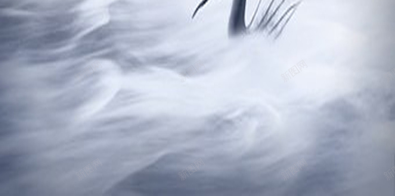 鱼跃龙门H5背景素材jpg设计背景_新图网 https://ixintu.com 云海 大鱼 灰色 白色 蓝色 努力 卡通 童趣 手绘