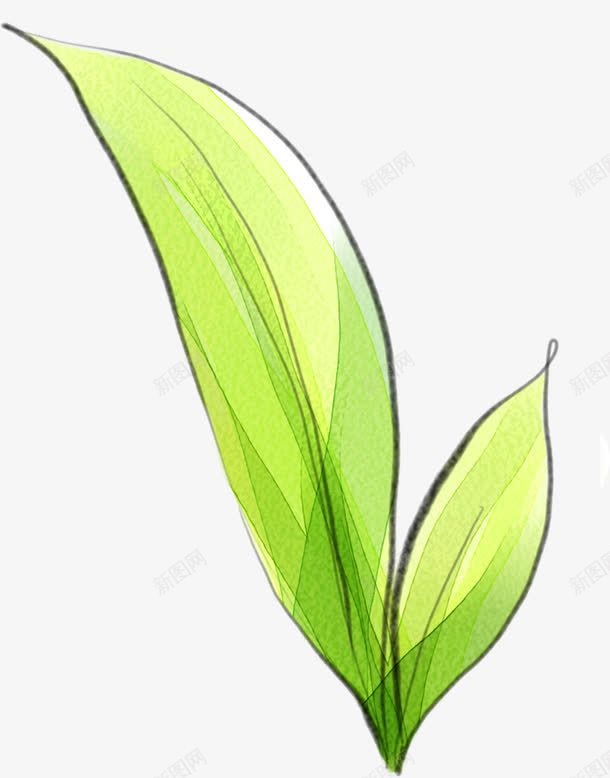 创意手绘合成绿色的植物芭蕉叶png免抠素材_新图网 https://ixintu.com 创意 合成 植物 绿色 芭蕉叶