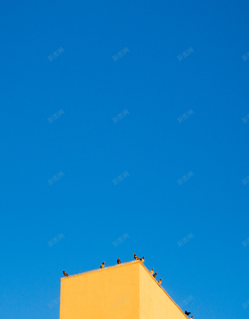 建筑摄影H5背景素材jpg设计背景_新图网 https://ixintu.com 黄色 蓝天 鸟儿 建筑 简约 摄影 风景