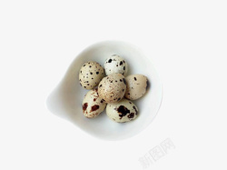 火锅配菜鹌鹑蛋素材