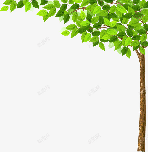 绿色叶子的小树png免抠素材_新图网 https://ixintu.com 树叶 树干 树枝 点缀 绿树